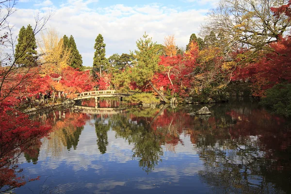 Podzimní japonská zahrada — Stock fotografie