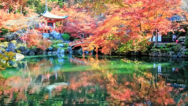 Time lapse of Daigo-ji — Stock Video