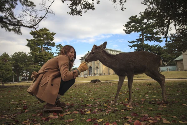 Nara is een grote toeristische bestemming — Stockfoto