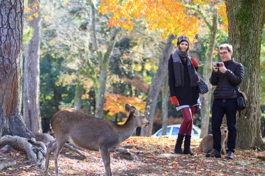 Nara büyük turizm destinasyonu olduğunu