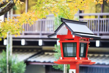 Sonbahar Yaprakları