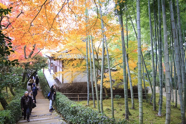 Осенний сезон в Киото — стоковое фото