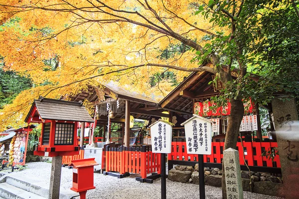 Val seizoen in kyoto — Stockfoto