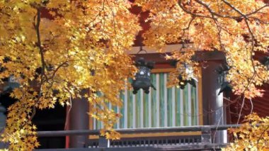 Sonbahar Yaprakları