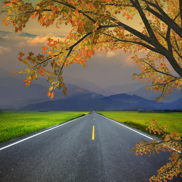 Drum asfalt prin câmpul verde — Fotografie, imagine de stoc
