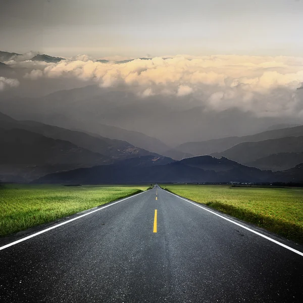 Asphalt road through the green field — Stock Photo, Image