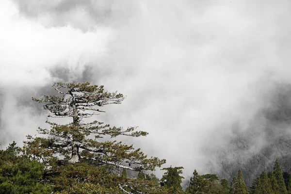 高山の素晴らしいビュー — ストック写真
