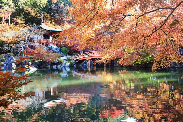 Осенний сезон Японии — стоковое фото