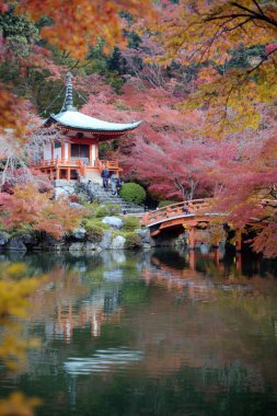 Sonbahar sezonu, Japonya