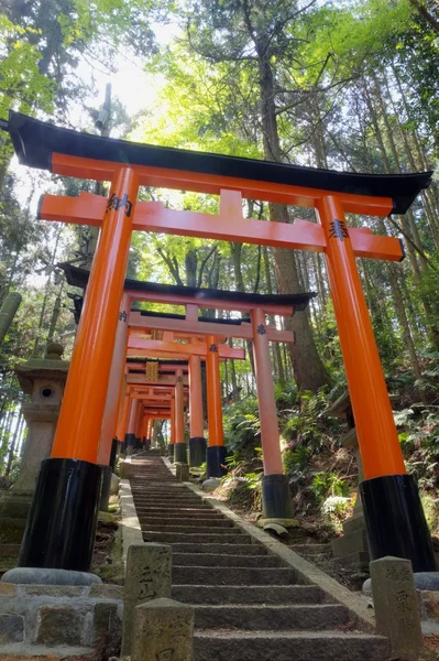 Gros plan des portes de Torii au sanctuaire Fushimi Inari à Kyoto, Japon. Sanctuaire Fushimi Inari — Photo