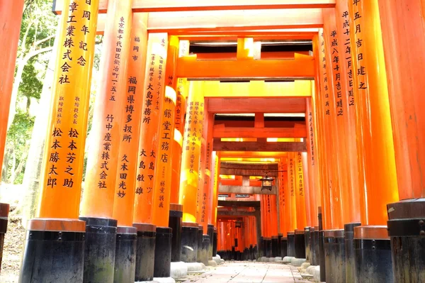 Primo piano dei cancelli Torii al santuario di Fushimi Inari a Kyoto, Giappone. — Foto Stock