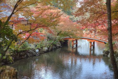 Sonbahar sezonu, Japonya