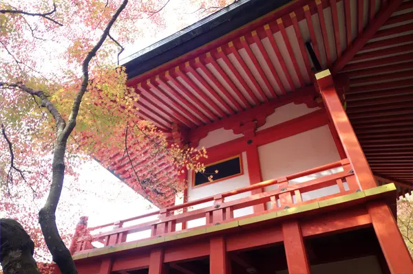 A temporada de outono do Japão — Fotografia de Stock