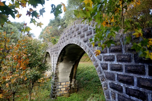 Tayvan'ın sonbahar sezon — Stok fotoğraf