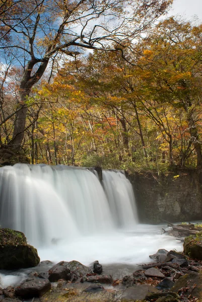 Oirase Stream — Stockfoto