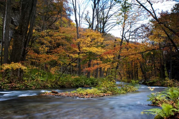 Oirase Stream — Stockfoto