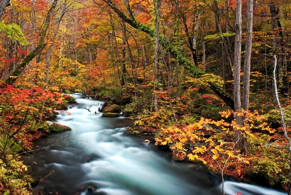 Flusso di oirasi — Foto Stock