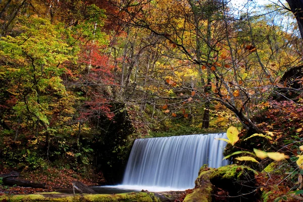 Flusso di oirasi — Foto Stock