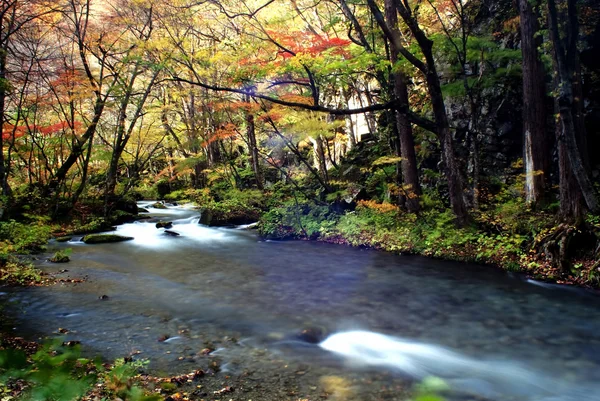 Oirase akım — Stok fotoğraf