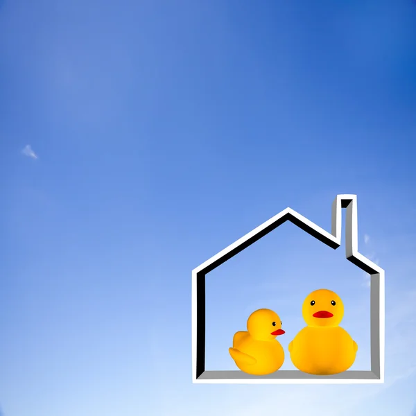 Pato en la casa —  Fotos de Stock