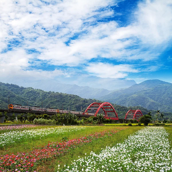 Flor agradável com trem e ponte — Fotografia de Stock