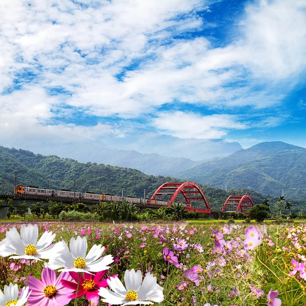 Flor agradável com trem e ponte — Fotografia de Stock
