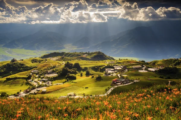 Taglilie blüht auf sechzig Steinberg in Taiwan — Stockfoto