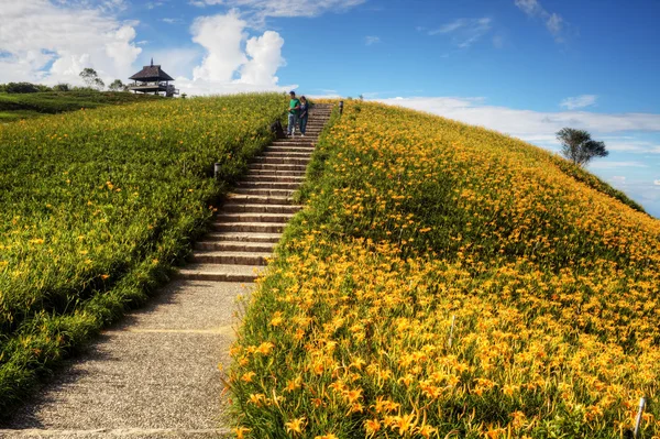 Bunga bunga di enam puluh Batu Gunung di Taiwan — Stok Foto