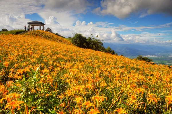 Daylily fleur à soixante Stone Mountain à Taiwan — Photo