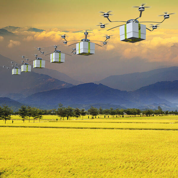 Fast delivery post package