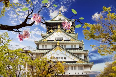 Osaka Kalesi osaka, Japonya.