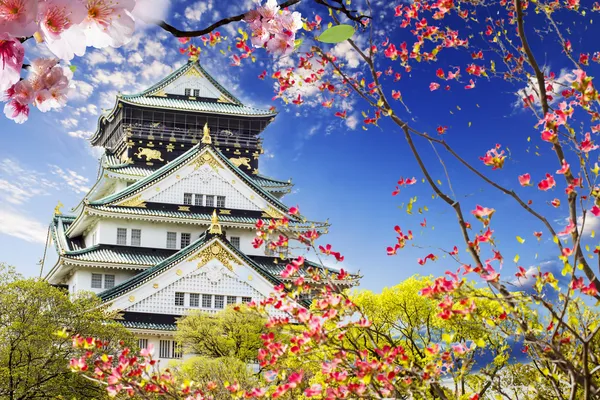 Kasteel Osaka in osaka, japan. — Stockfoto