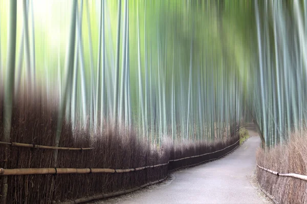 绿色竹篱笆背景 — 图库照片