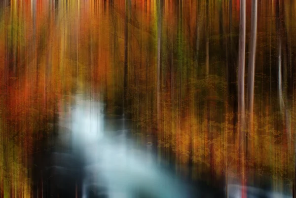 Autumn Colors of Oirase Rive — Stock Photo, Image