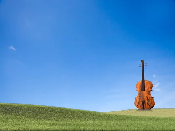 Cello geïsoleerd — Stockfoto