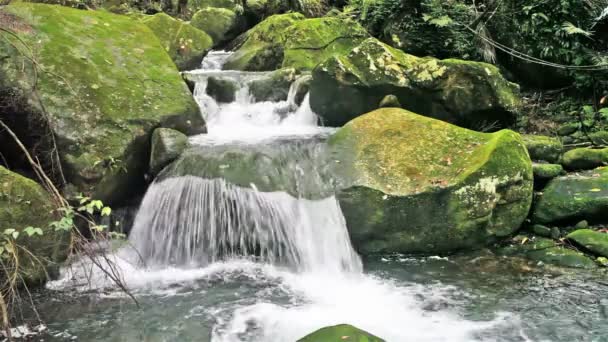 Flowing mountain stream — Stock Video