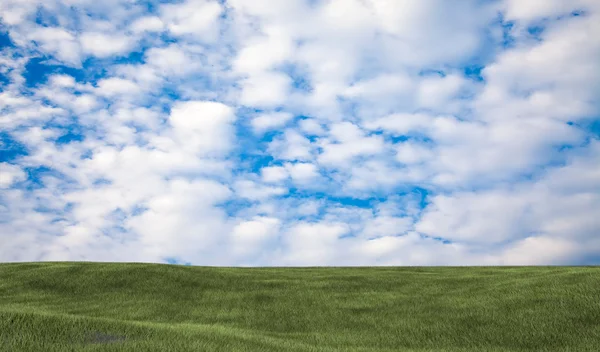 Hintergrundbild von üppigem Gras — Stockfoto
