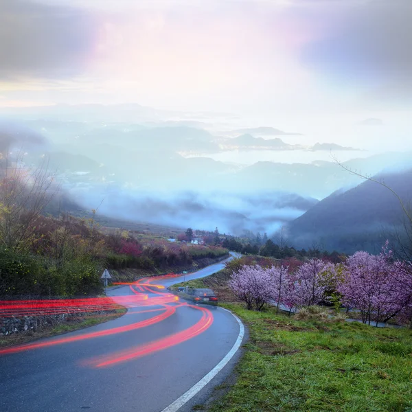 Beautiful sunset — Stock Photo, Image