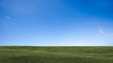 Tarla, ağaç ve mavi gökyüzü