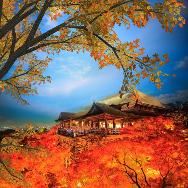 temiz su Tapınağı'nda sonbahar yaprakları