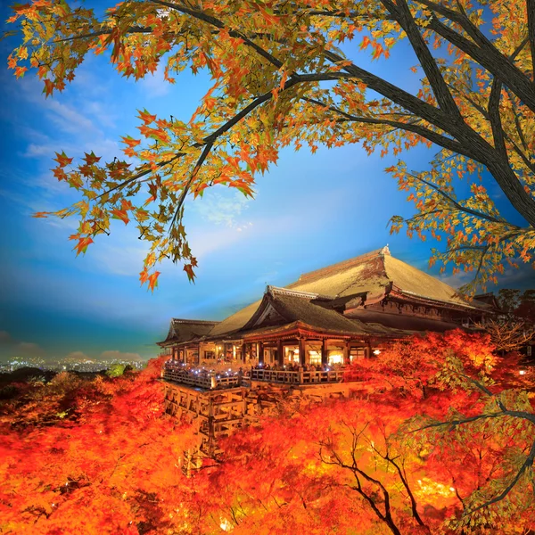 Temiz su Tapınağı'nda sonbahar yaprakları — Stok fotoğraf