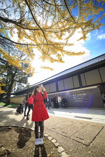 Hirsch in nara, japan, im Herbst — Stockfoto