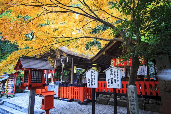 Hirsch in nara, japan, im Herbst — Stockfoto