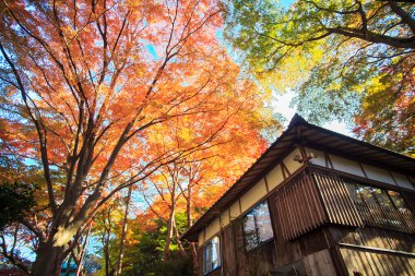 kojyoin tsukimido achi Köyü, nagano, Japonya