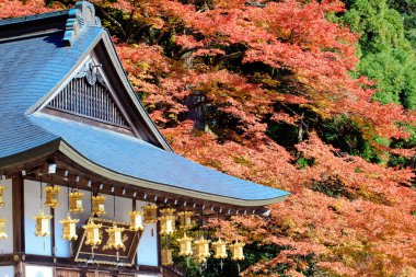 kojyoin tsukimido achi Köyü, nagano, Japonya