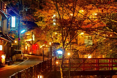 gece görüş de maple sezon sonbahar, japan