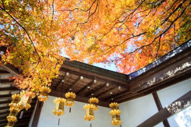 kojyoin tsukimido achi Köyü, nagano, Japonya
