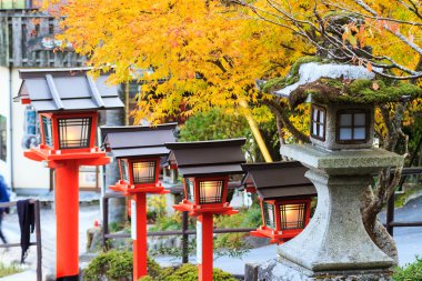 akçaağaç sezon sonbahar