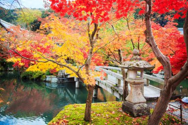 kojyoin tsukimido achi Köyü, nagano, Japonya