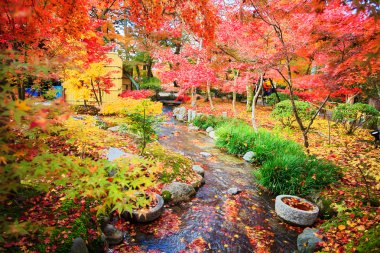kojyoin tsukimido achi Köyü, nagano, Japonya